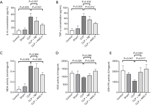 Click on image to zoom