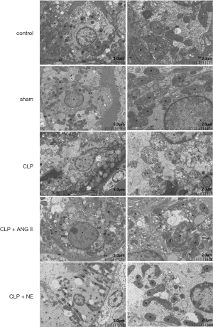 Click on image to zoom