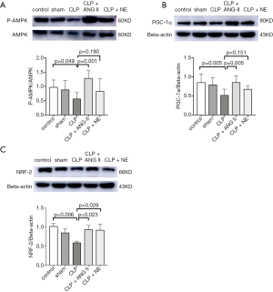 Click on image to zoom