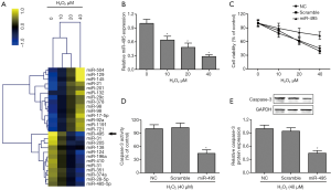 Click on image to zoom