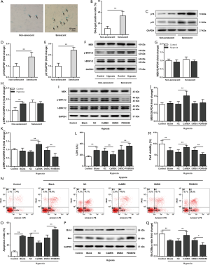 Click on image to zoom