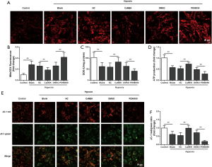 Click on image to zoom