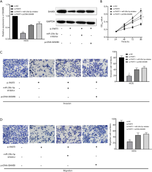 Click on image to zoom