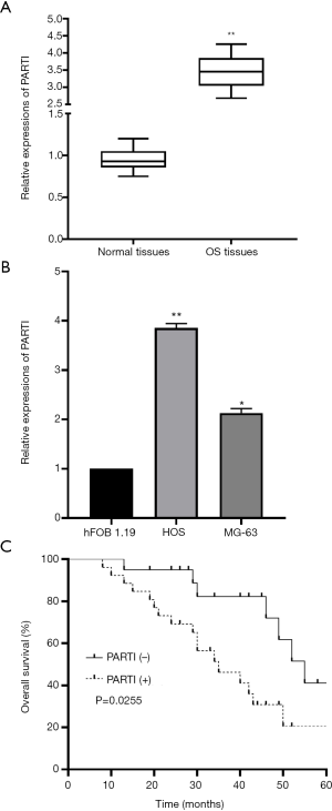 Click on image to zoom