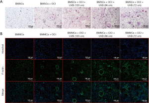 Click on image to zoom