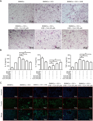 Click on image to zoom