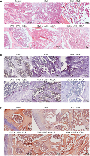 Click on image to zoom