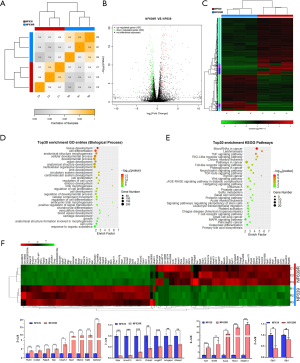 Click on image to zoom