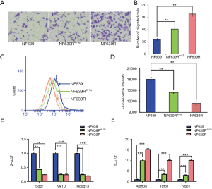 Click on image to zoom