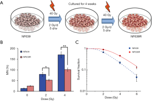 Click on image to zoom