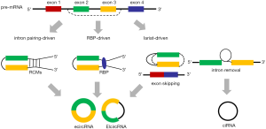 Click on image to zoom