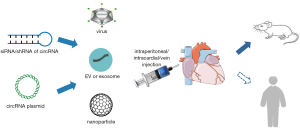 Click on image to zoom