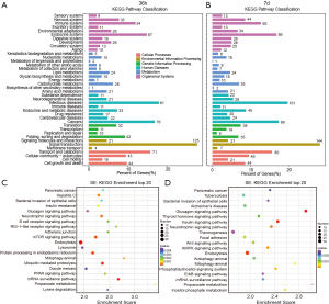 Click on image to zoom