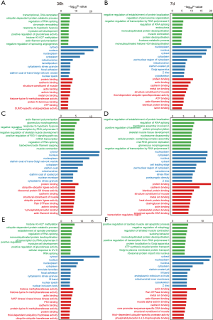 Click on image to zoom