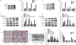 Click on image to zoom