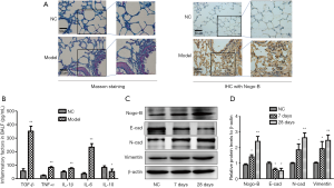 Click on image to zoom