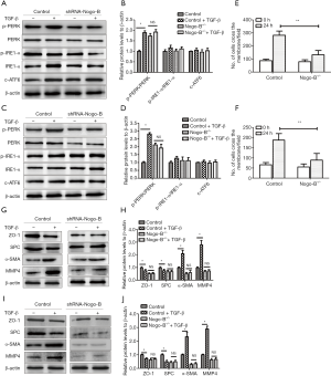 Click on image to zoom