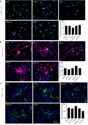 Click on image to zoom