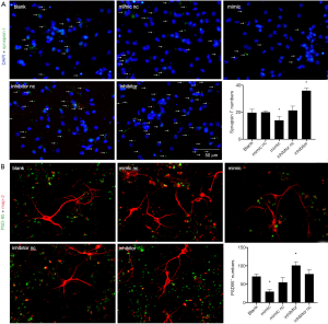 Click on image to zoom