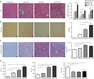 Click on image to zoom