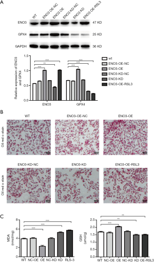 Click on image to zoom