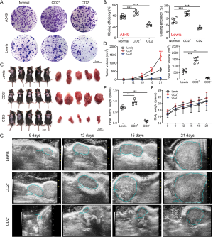 Click on image to zoom