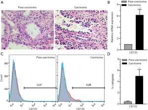 Click on image to zoom