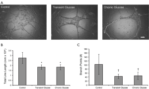 Click on image to zoom