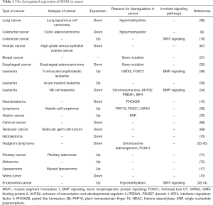 Click on image to zoom Table 1