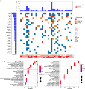 Click on image to zoom