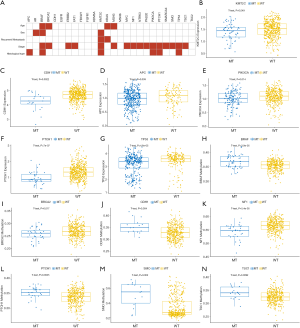 Click on image to zoom