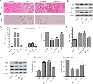 Click on image to zoom