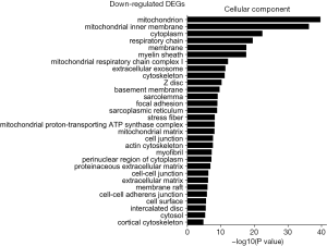 Click on image to zoom