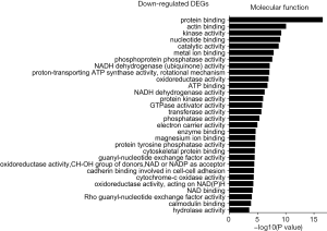 Click on image to zoom