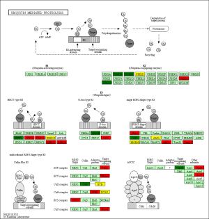 Click on image to zoom