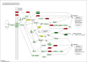 Click on image to zoom