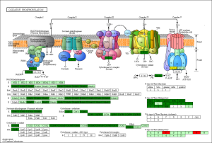 Click on image to zoom