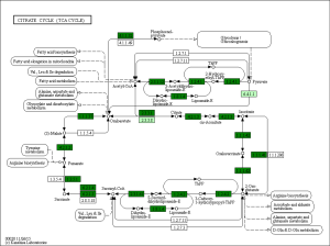 Click on image to zoom