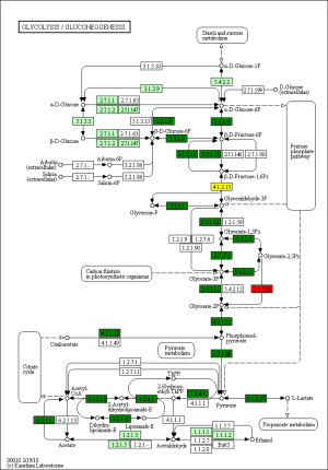 Click on image to zoom