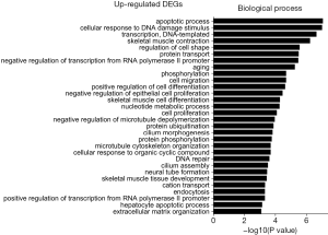 Click on image to zoom