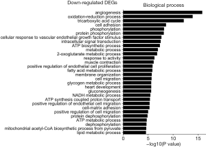 Click on image to zoom