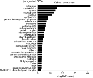 Click on image to zoom