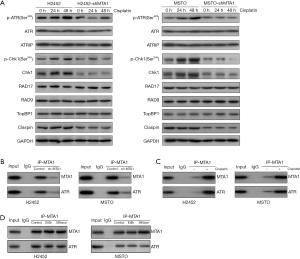 Click on image to zoom