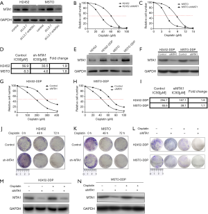 Click on image to zoom