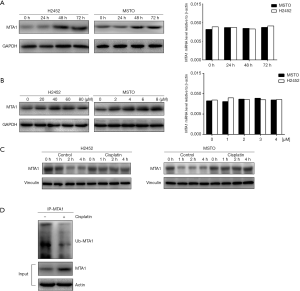 Click on image to zoom