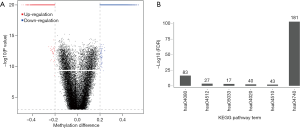 Click on image to zoom