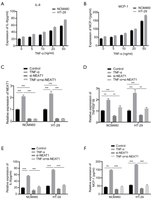 Click on image to zoom