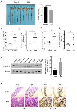 Click on image to zoom