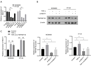 Click on image to zoom