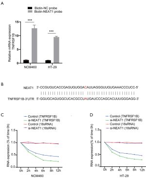 Click on image to zoom